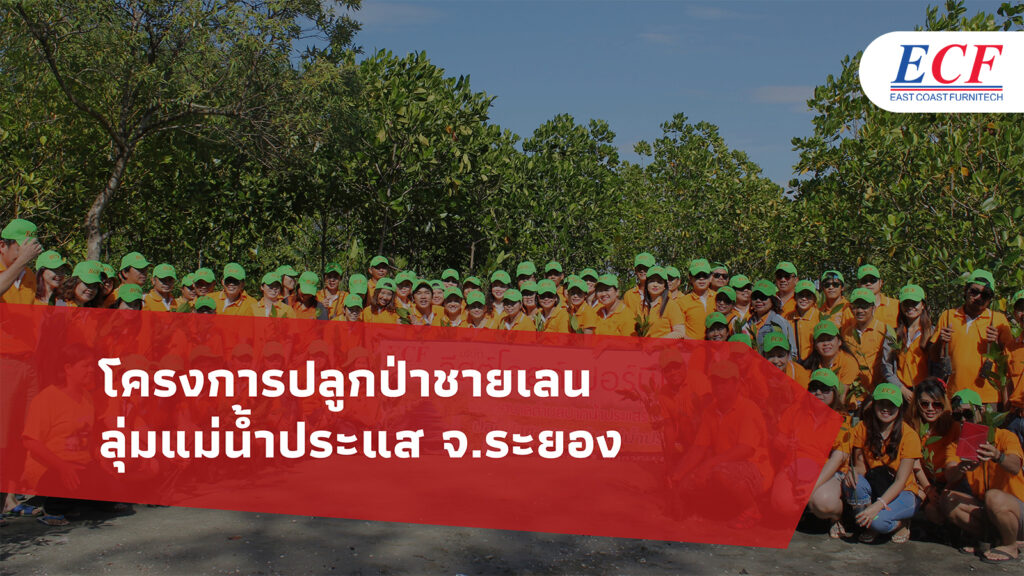 กิจกรรมโครงการปลูกป่าชายเลนลุ่มแม่น้ำประแส จ.ระยอง