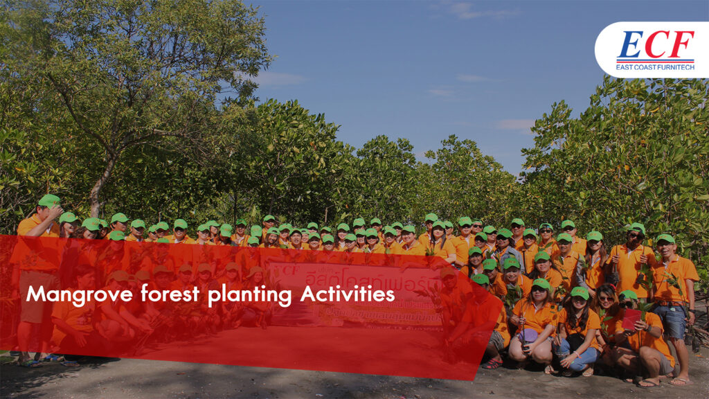 Mangrove forest planting Activities
